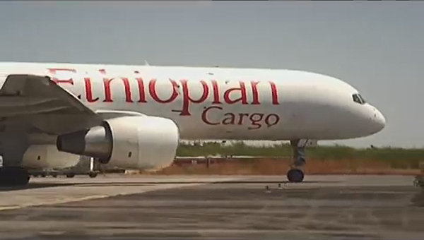 Ethiopian Airlines Cargo截图 (8)